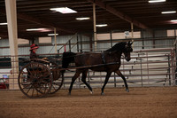 SilverBuckle20_FriPM_2024