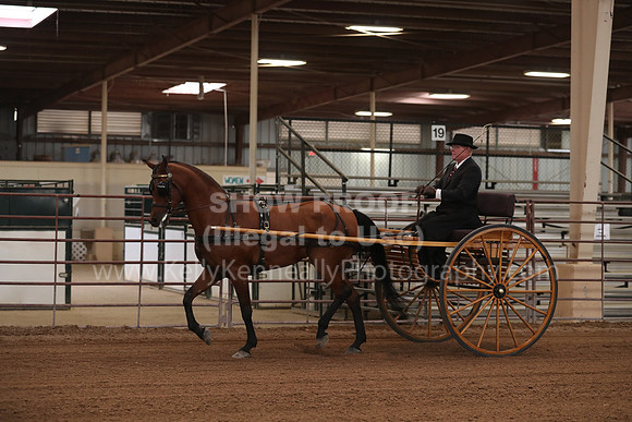 SilverBuckle20_FriPM_2051