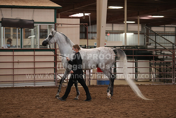 SilverBuckle20_FriAM_1901