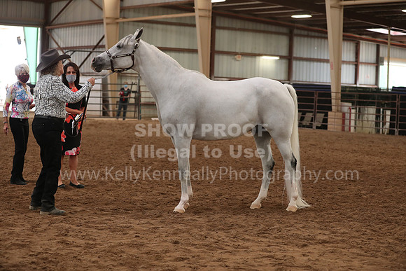 SilverBuckle20_FriAM_1903