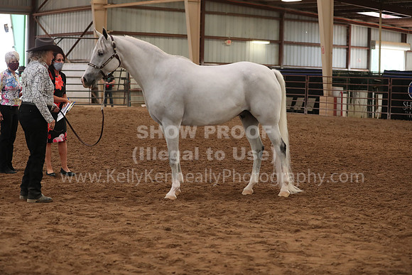 SilverBuckle20_FriAM_1904