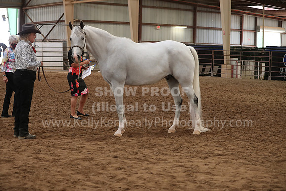 SilverBuckle20_FriAM_1905