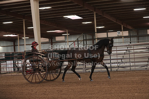 SilverBuckle20_FriPM_2060