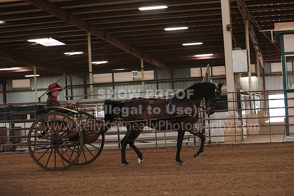 SilverBuckle20_FriPM_2061