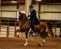 SilverBuckle20_FriPMEve_2714 copy