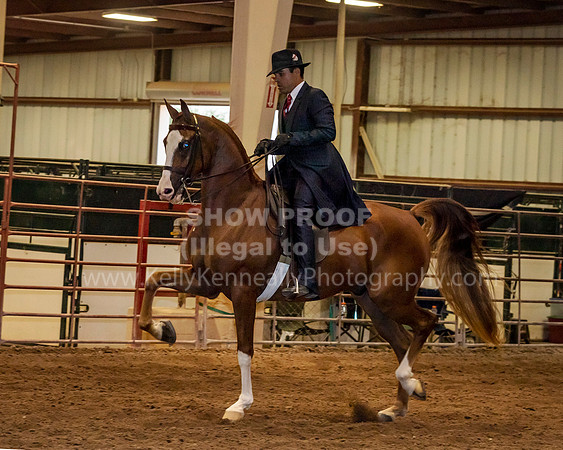 SilverBuckle20_FriPMEve_2714 copy