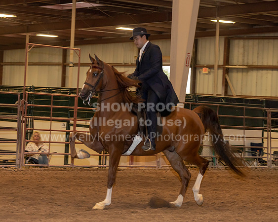 SilverBuckle20_FriPMEve_2715 copy