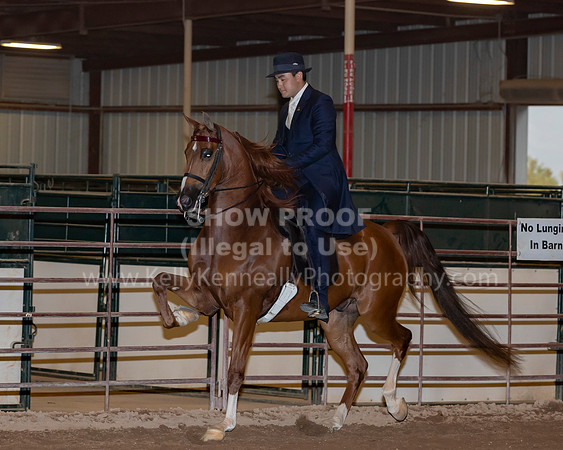 SilverBuckle20_FriPMEve_2710 copy