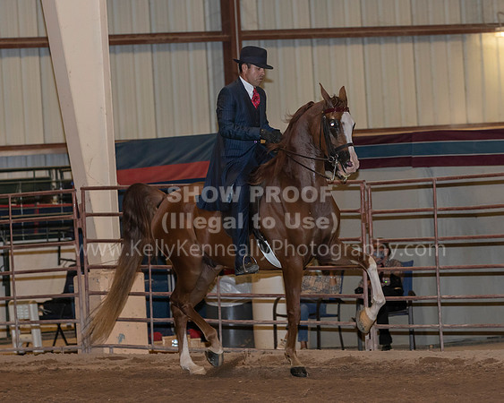 SilverBuckle20_FriPMEve_2717 copy