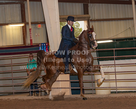 SilverBuckle20_FriPMEve_2718 copy
