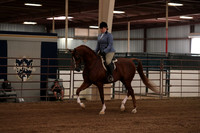 Class 126 Arabian Hunter Pleasure AAOTR