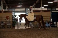 Class 127 HA/AA Ladies Side Saddle All Disciplines