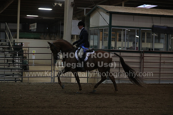 SilverBuckle20_FriPMEve_2626