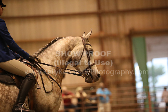 SilverBuckle20_FriPMEve_2765
