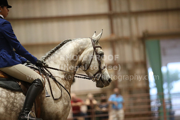 SilverBuckle20_FriPMEve_2766