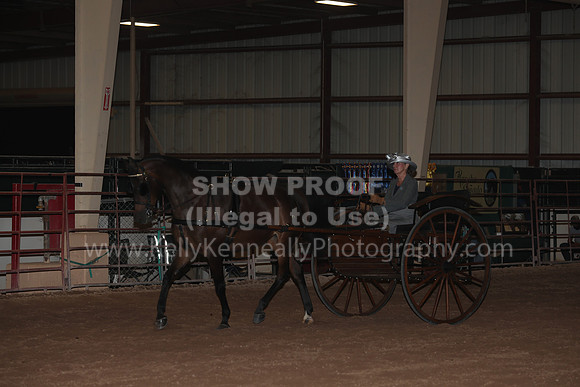 SilverBuckle20_FriPMEve_2829