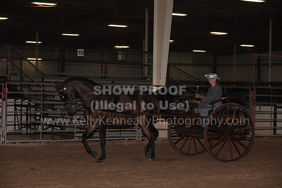SilverBuckle20_FriPMEve_2831