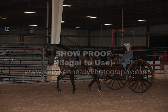 SilverBuckle20_FriPMEve_2830