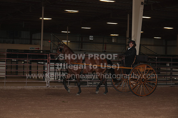 SilverBuckle20_FriPMEve_2835