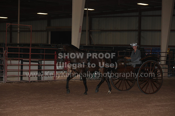 SilverBuckle20_FriPMEve_2837