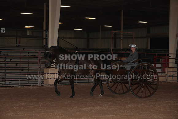 SilverBuckle20_FriPMEve_2838