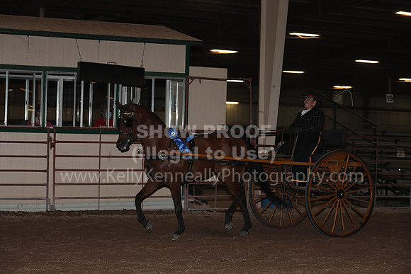 SilverBuckle20_FriPMEve_2842