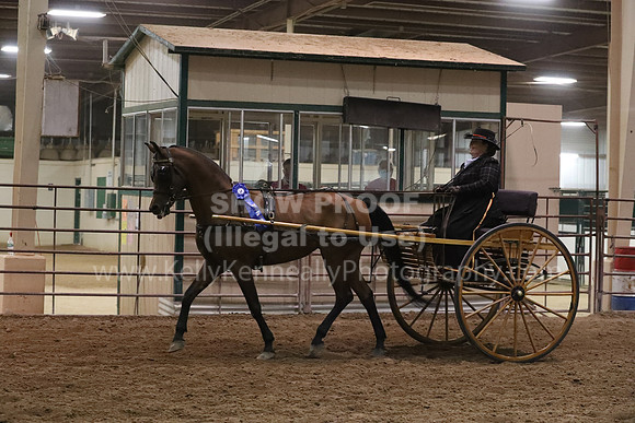 SilverBuckle20_FriPMEve_2843