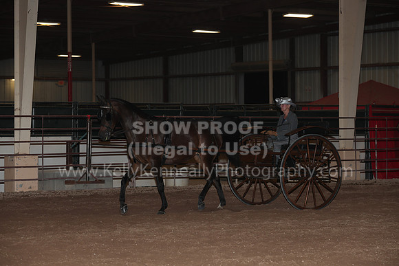 SilverBuckle20_FriPMEve_2846
