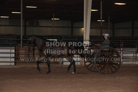 SilverBuckle20_FriPMEve_2847