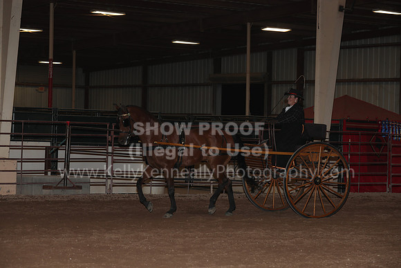 SilverBuckle20_FriPMEve_2849