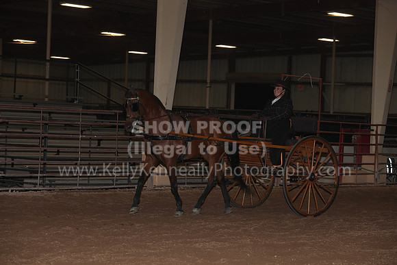 SilverBuckle20_FriPMEve_2853