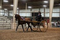 SilverBuckle20_FriPMEve_2858