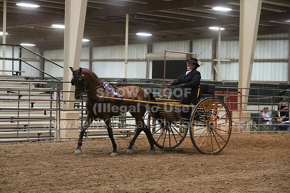 SilverBuckle20_FriPMEve_2858