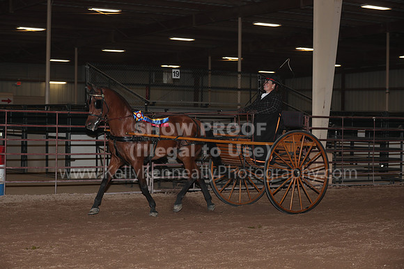SilverBuckle20_FriPMEve_2859