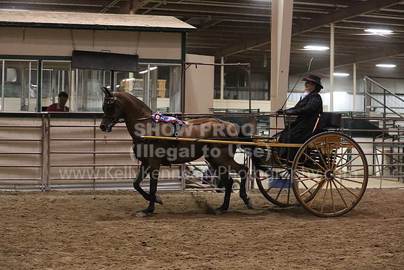 SilverBuckle20_FriPMEve_2861