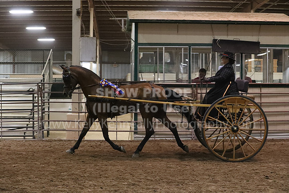 SilverBuckle20_FriPMEve_2862
