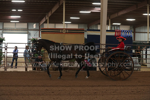 SilverBuckle20_SatAM_2931