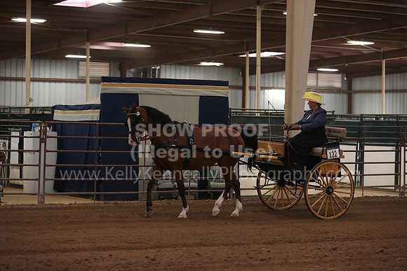 SilverBuckle20_SatAM_2933