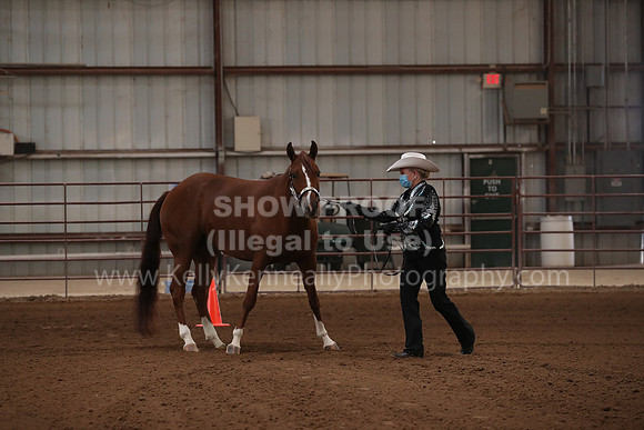SilverBuckle20_SatAM_2880