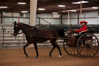 SilverBuckle20_SatAM_2939
