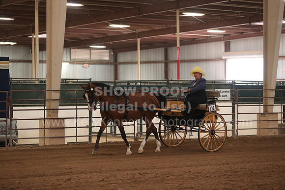 SilverBuckle20_SatAM_2942