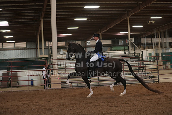 SilverBuckle20_SatAM_3011
