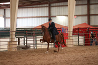 Class 194 Arabian English Pl Jr Horse