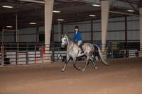 Class 237 Arabian Hunter Pleasure JOTR