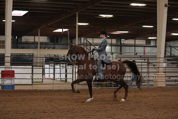 SilverBuckle20_SunAM_4866