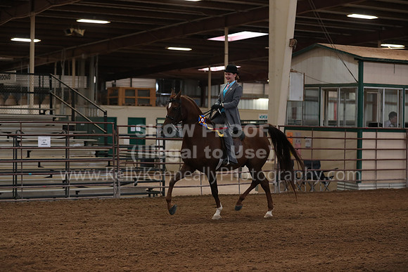SilverBuckle20_SunAM_4915