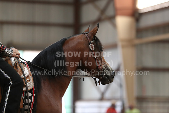 SilverBuckle20_SunAM_4942