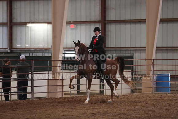 SilverBuckle20_SunAM_4972