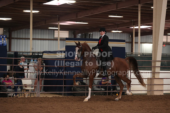SilverBuckle20_SunAM_4976