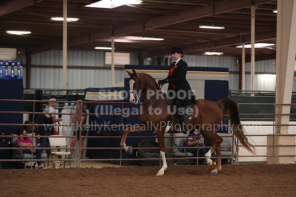 SilverBuckle20_SunAM_4977